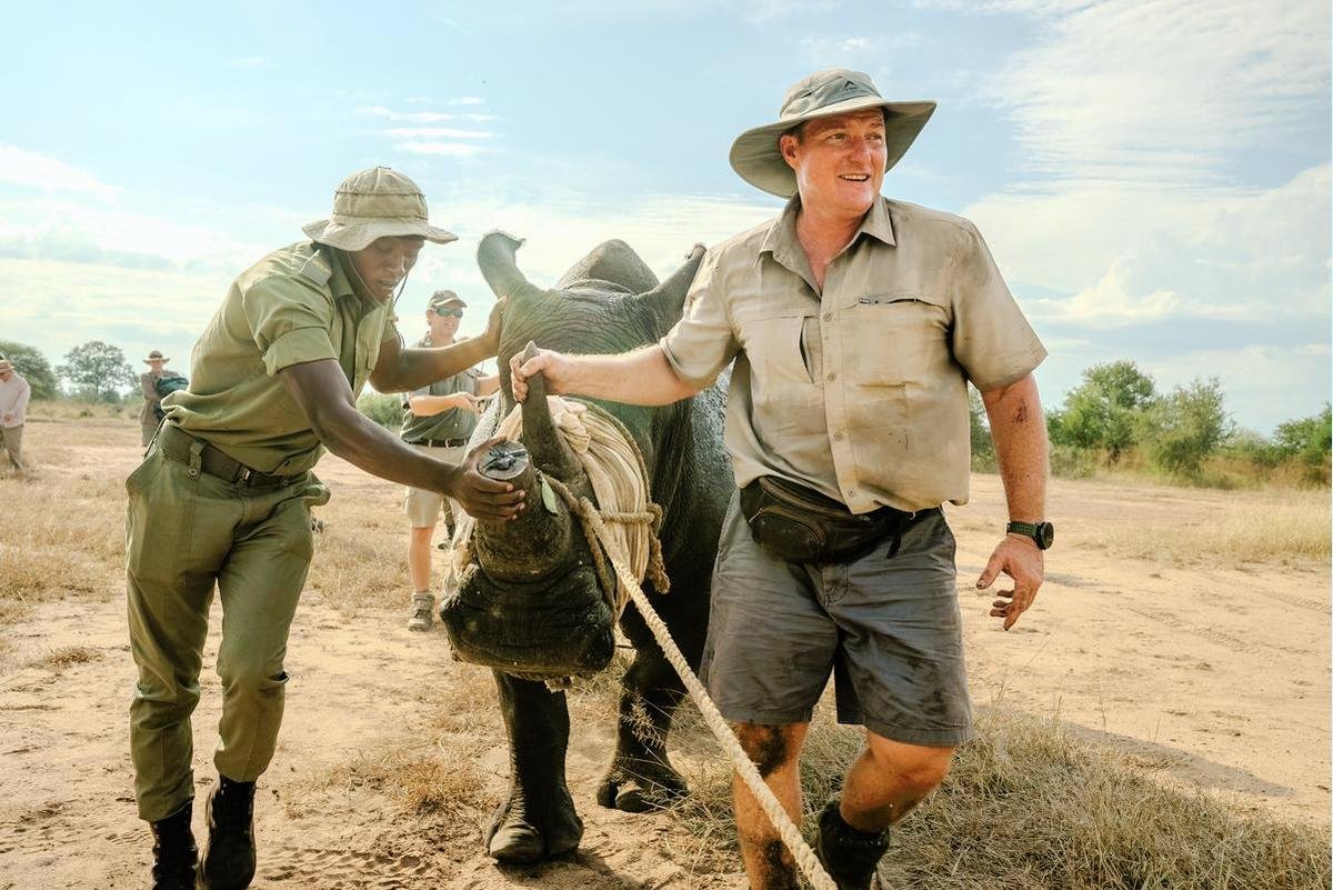 White rhino return.jpg